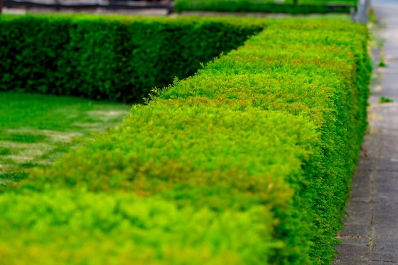 Bush Landscaping in Ventura County, CA